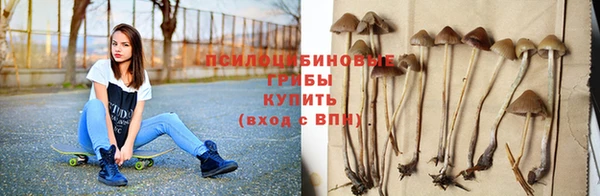 дурь Абинск